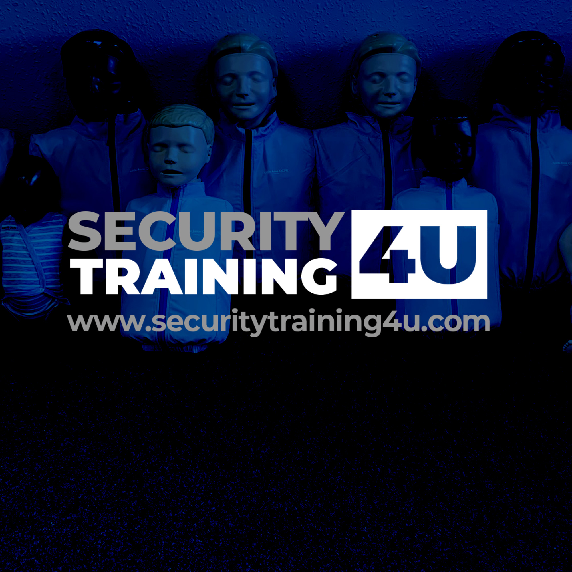 Security trainig for you